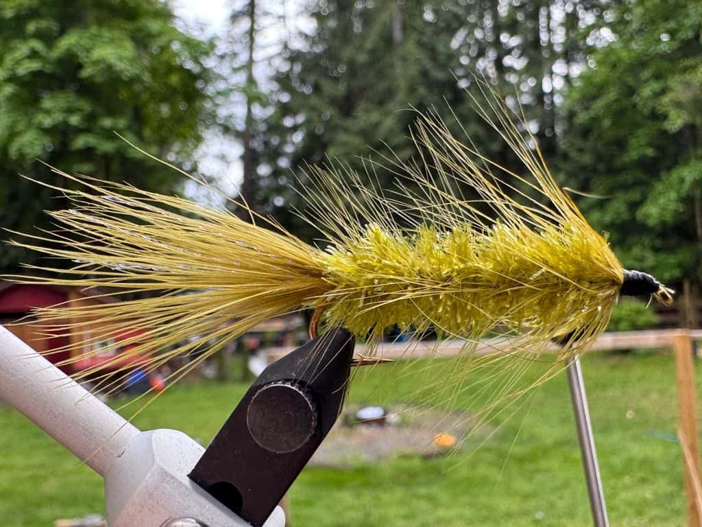 Main photo for Woolly Bugger