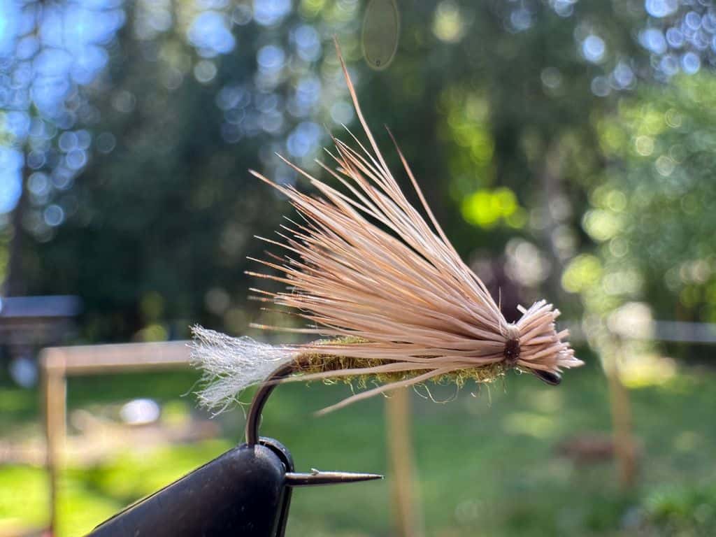 Main photo for X Caddis