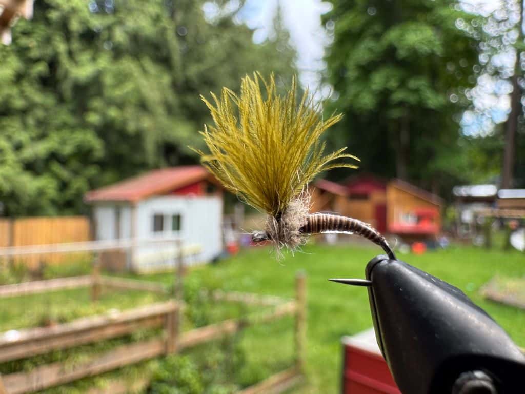 Main photo for CDC Shuttlecock