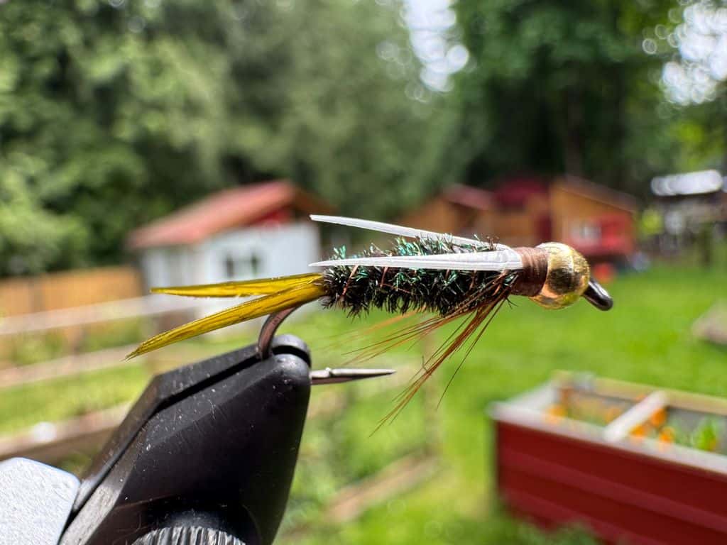 Main photo for Prince Nymph
