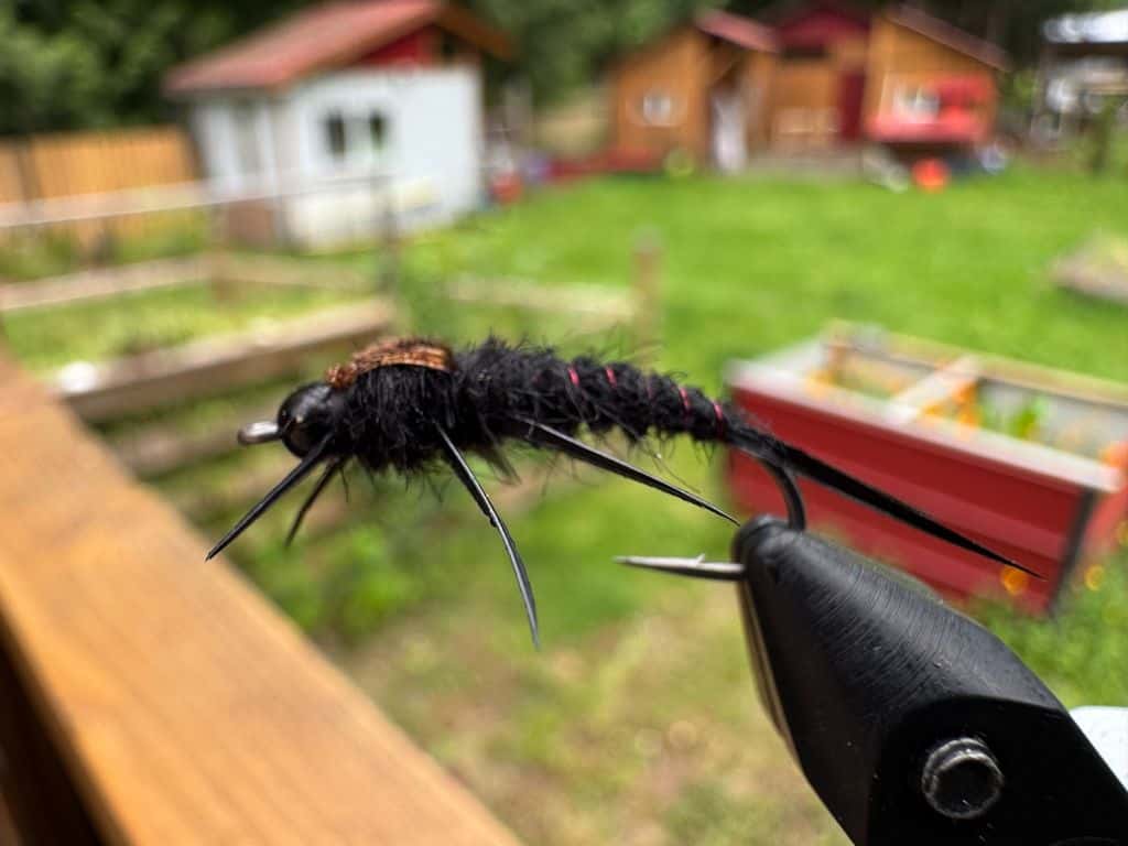 Main photo for Beadhead Biot Stonefly