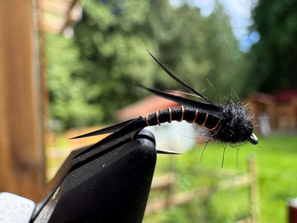 Main photo for Mini Stonefly