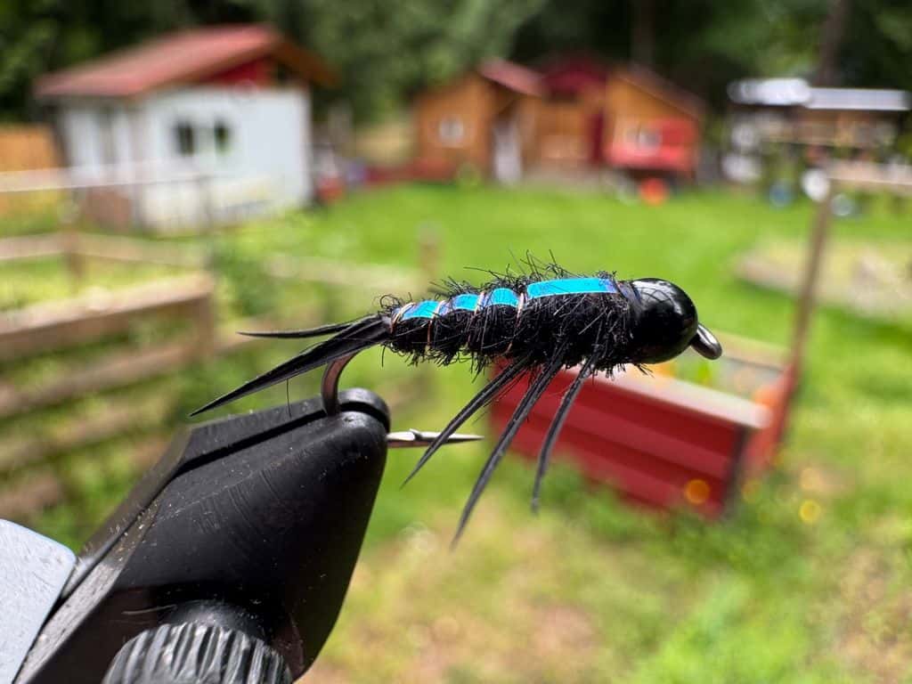 Main photo for Flashback Stonefly