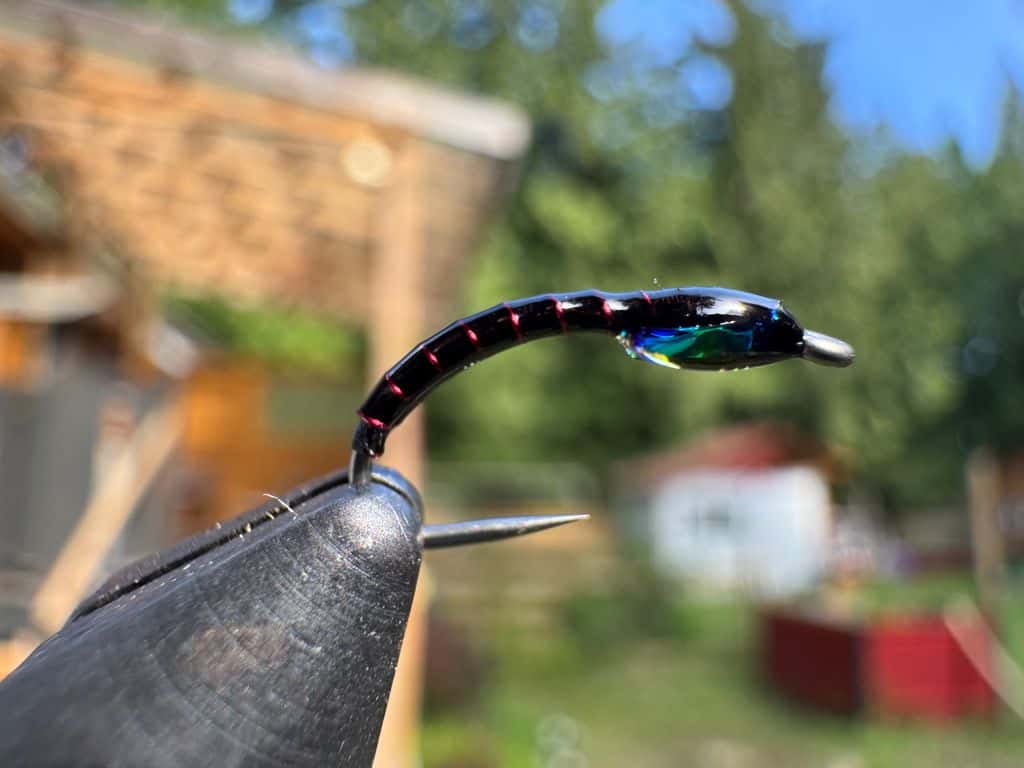 Main photo for UV Chironomid