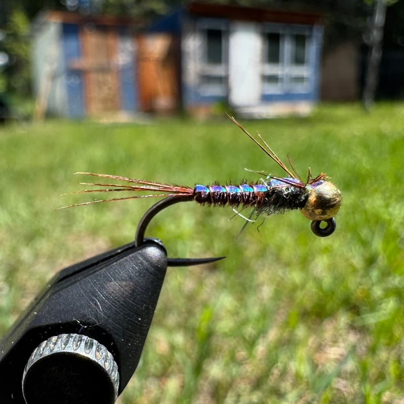 Flashback Pheasant Tail