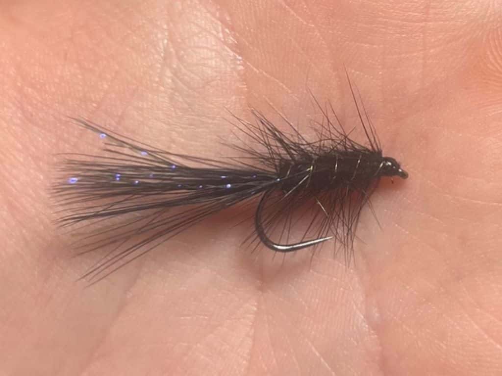 Main photo for Black leech / black woolly bugger