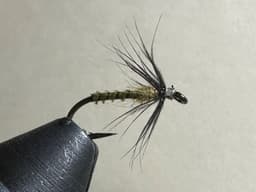 BWO Soft Hackle